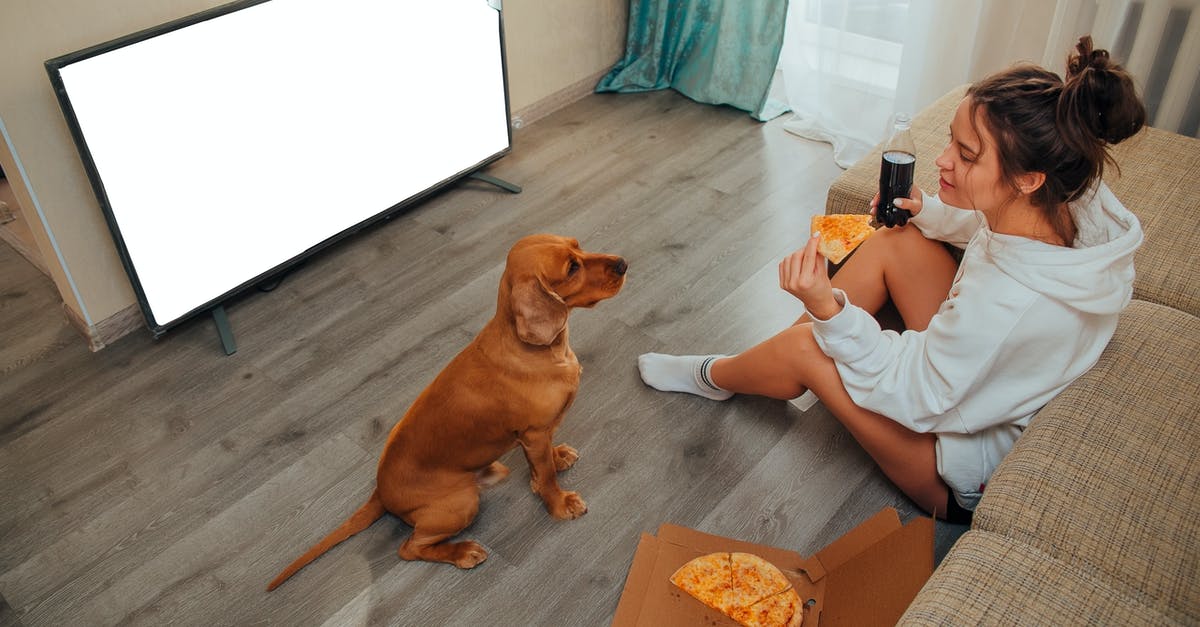 Edition with 1-hour episodes each of TV series 24? - Side view of young woman in domestic clothes sitting on floor near sofa with obedient calm Labrador and watching TV while eating pizza during weekend at home