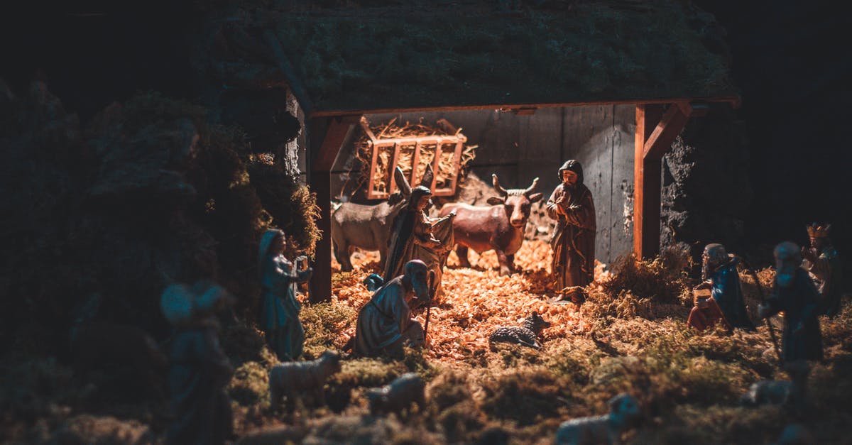 Explanation of scene in the Official Story (La historia oficial) - Small toys showing Birth of Christ
