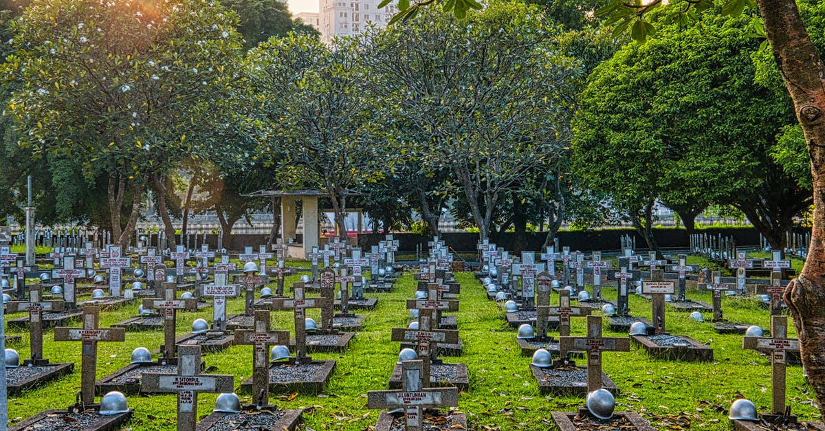 Few events that I failed to understand in The House That Bled to Death - Cemetery with gravestones and green trees