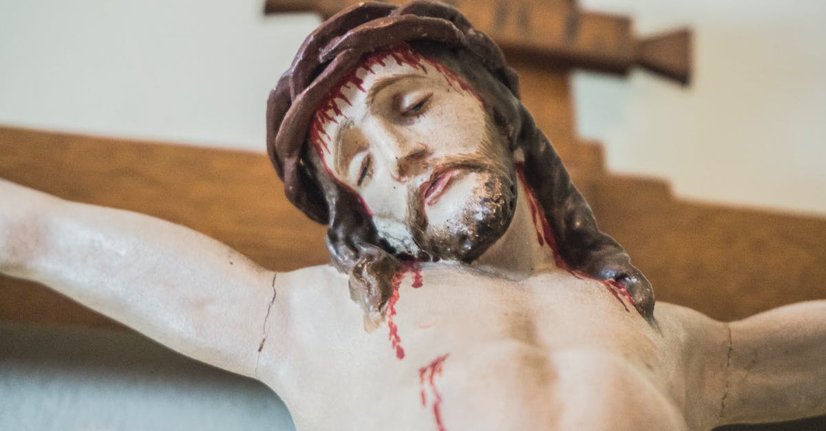 Fundamentalist Christian got a blood transfusion? - Monumental Sculpture of Jesus Christ Crucifixion