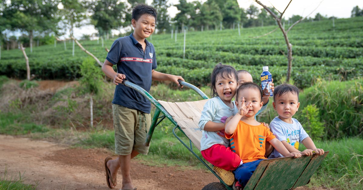 Have there ever been movies with the same name, released in the same year? - Funny Asian toddlers having fun while brother riding metal wheelbarrow on rural road in green agricultural plantation