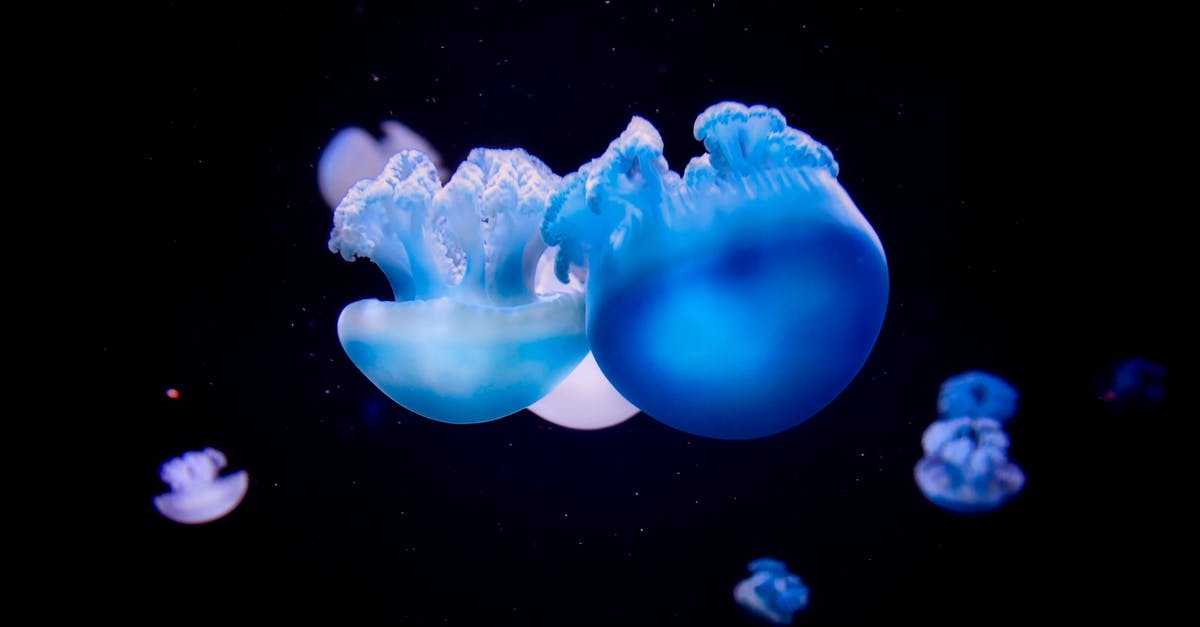 High Moon (The Lotus Caves) Floating Eyeballs - Blue Jellyfish