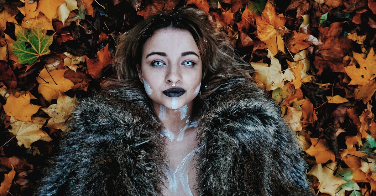 Horror movie where buried people and animals come back to life [closed] - Woman in Black Fur Coat Laying on Brown Maple Leaves