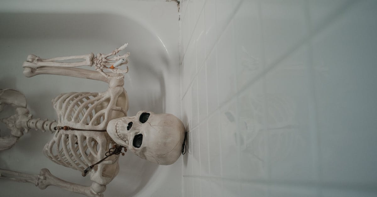 Horror story writer moves with his family into a house where the previous family was murderered [closed] - White Skeleton on White Ceramic Bathtub