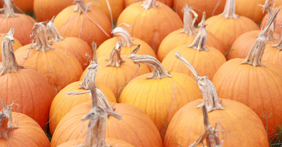 How are period food wrappers sourced or produced? - Full Shot of Rows of Fresh Pumpkins