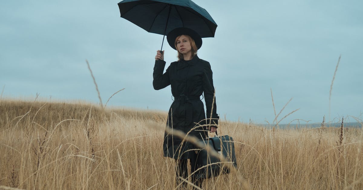 How can the future protect themselves by wiping out the past in Tenet? - Serious young female in black coat and hat with umbrella and briefcase standing among dry grass in field and looking away in overcast weather