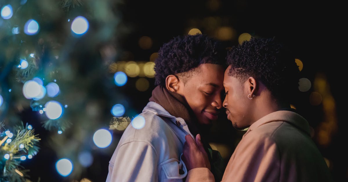 How close is Masters of Sex to the actual events? - Low angle side view of African American gay couple caressing with closed eyes while standing near glowing fir tree