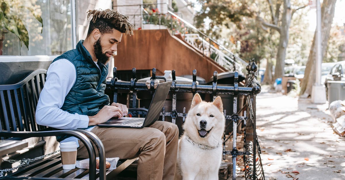 How come the current owners don't know what's going on in hotel Cortez in Season 5? - Side view of African American male sitting on bench with takeaway coffee and surfing netbook near Akita Inu dog on street