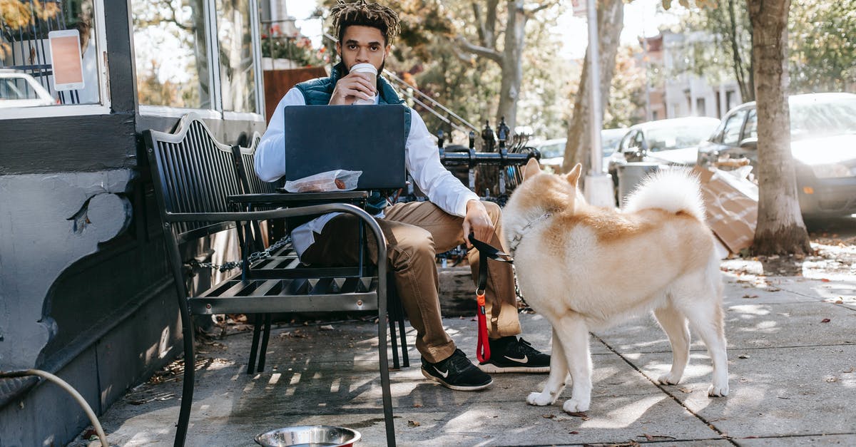 How come the current owners don't know what's going on in hotel Cortez in Season 5? - Full body of serious African American male sitting on bench with laptop near Akita Inu and drinking hot drink during online work on street