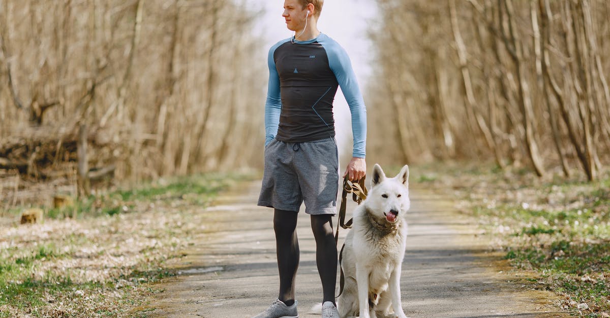 How could Carl run or jump when he is using apparatus for his walking? - Confident man using earbuds while walking with dog in park in spring