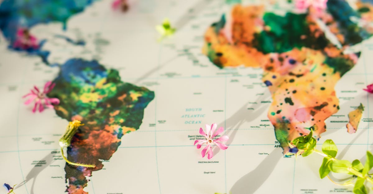 How could Juliana have travelled to our world? - Close-up Shot of a Map with Small Pieces of Flowers