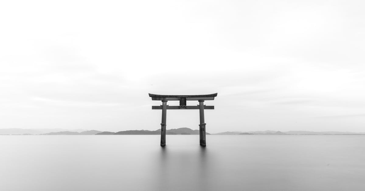 How could Juliana have travelled to our world? - Pagoda in Gray Scale Shot