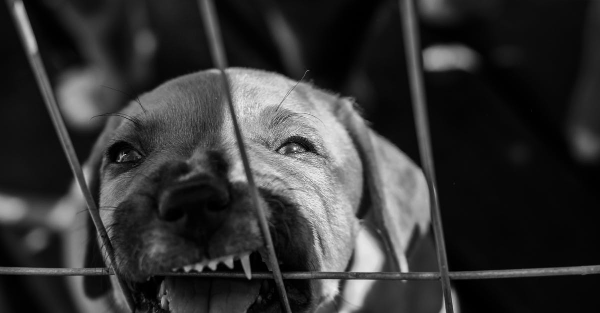 How could Major Cage be reset and experience the victory? [duplicate] - Grayscale Photo of a Dog Standing Behind the Metal Cage