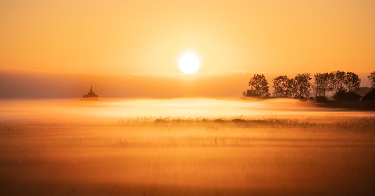 How could Ryan land in New York in early morning? - Picturesque scenery of field covered with fog against trees illuminated by sunlight at sunrise time
