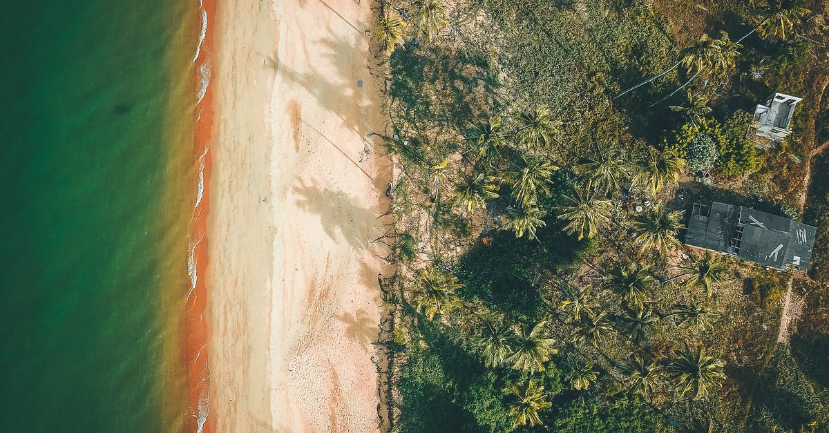 How Could Superman Lift the Oceanliner Out of the Water While He Was Surrounded by Kryptonite? - Drone view of light beige sandy beach of vibrant green wavy ocean next to cottage surrounded by grass and palms