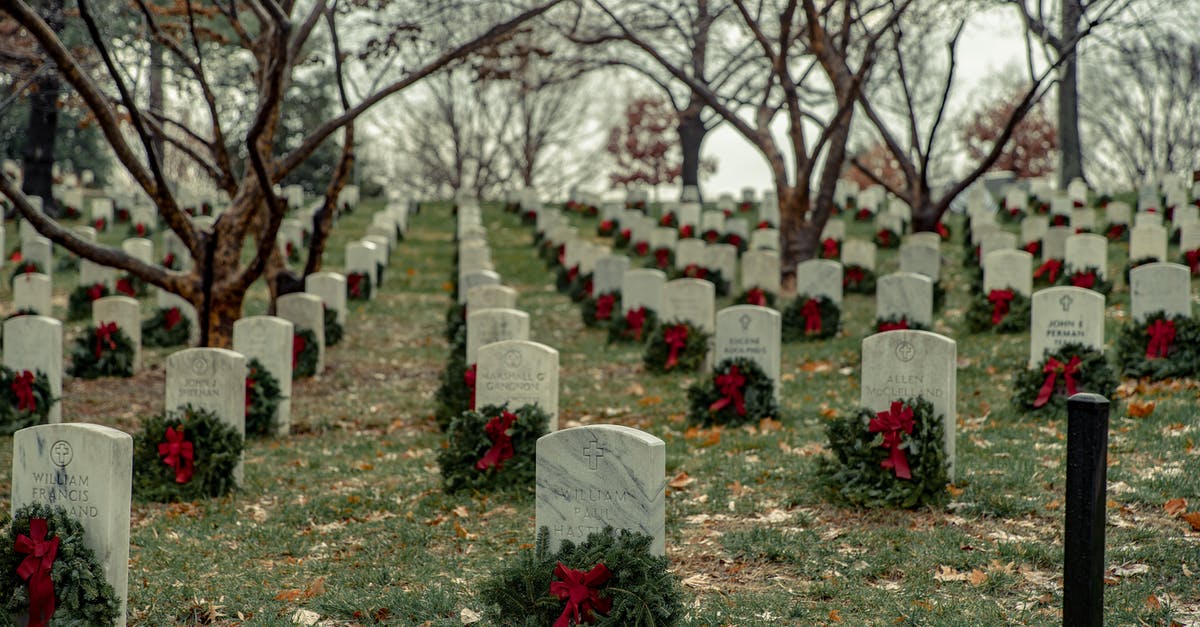 How Damien Echols survived Death Row in Devil's Knot? - Perspective view of military cemetery with rows of similar headstones with wreaths under leafless trees on autumn day