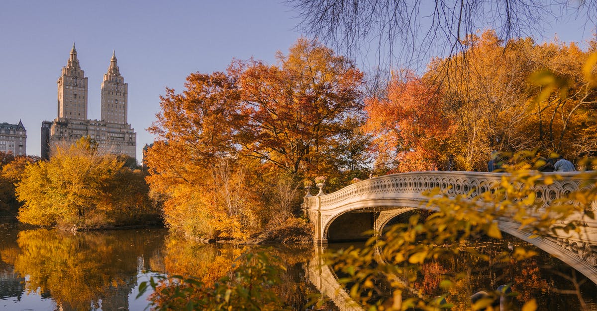 How did Barney & Ted know that Robin was searching for that locket in Central Park? - Bow Bridge crossing calm lake in autumn park