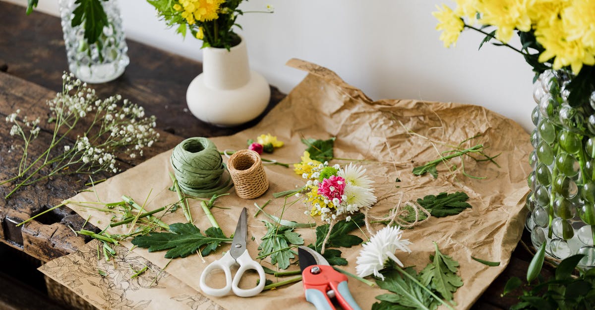 How did Cutter know Angier's method? - Scissors and pruner on craft paper covered with cut leaves and flowers among bouquets on wooden table in floristry workshop