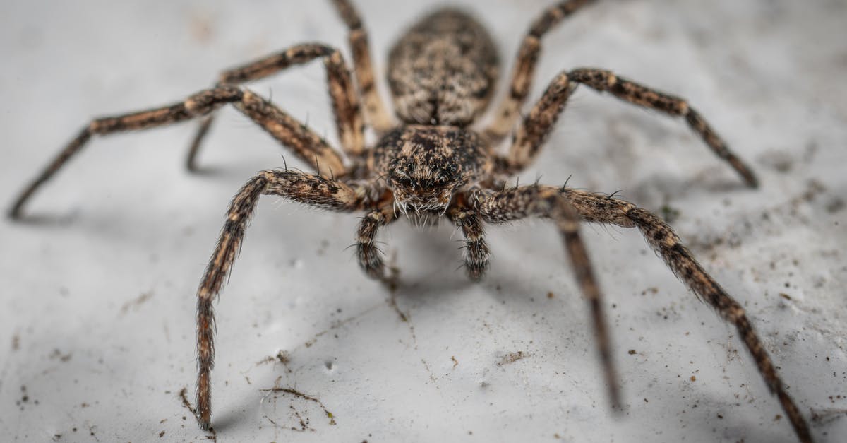 How did Earth's poison plants come to the Predators' hunting planet? - Fishing spider crawling in aquarium