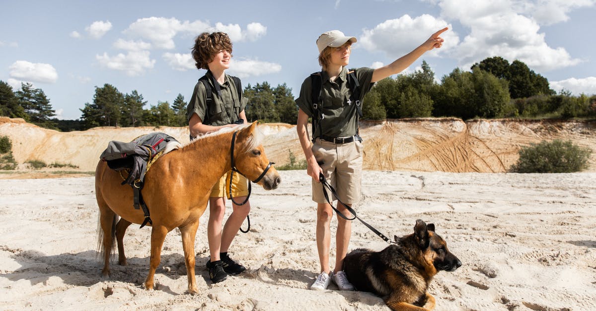 How did events lead this way? - Scouts with a Mule and a Dog Pointing a Direction