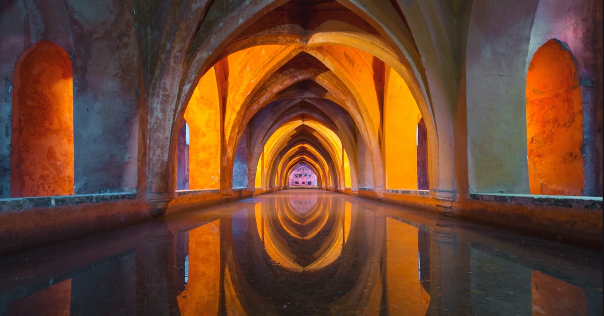 How did Sapna become super rich, educated and well spoken in 2 years? - Orange and Gray Tunnel Painting