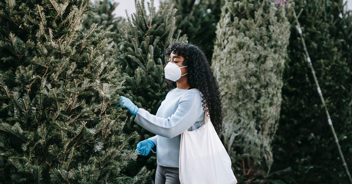 How did Tarantino choose the song "Little Green Bag" for Reservoir Dogs? - Side view of African American female in protective mask and gloves choosing tall green coniferous tree while standing in market