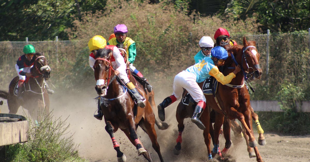 How did team 1 of animals find team 2 of animals? - Horse riders during competition in paddock