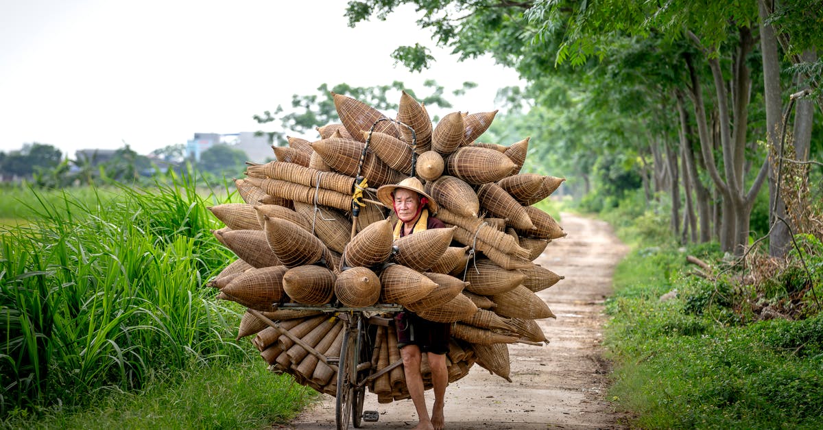How did the booby trap work in Full Metal Jacket? - Full body of senior Asian female in hat carrying bicycle with traditional bamboo fish traps on footpath near field and trees