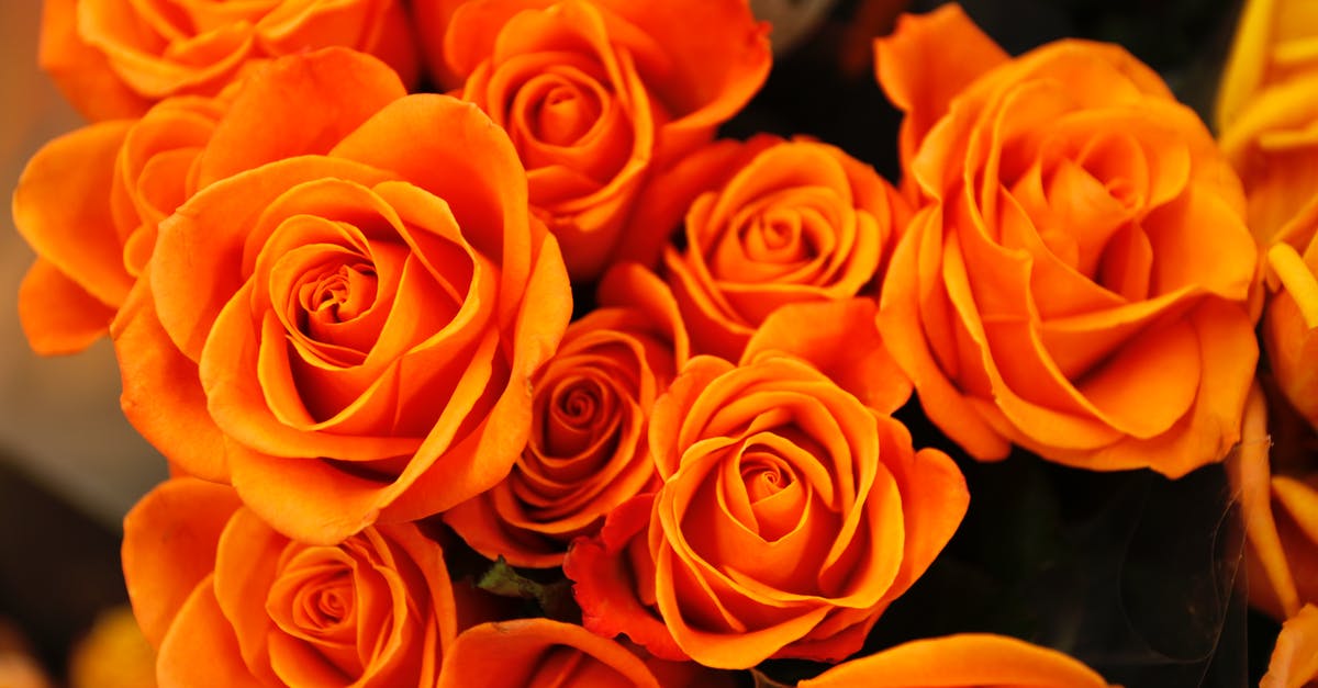 How did the Coen Brothers come to their arrangement for sharing credit? [closed] - Bed of Orange Petaled Flower