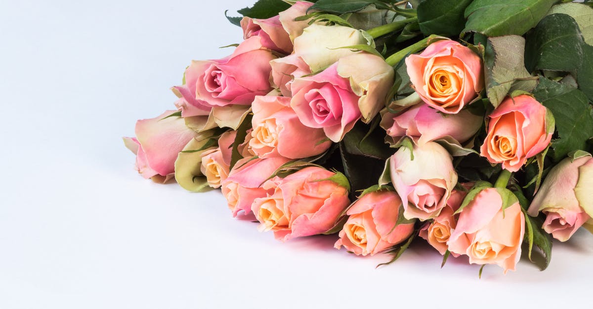 How did the Coen Brothers come to their arrangement for sharing credit? [closed] - Close-up Photo of Bouquet of Pink Roses
