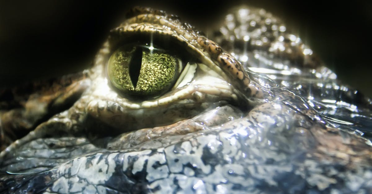 How did they achieve the Gunslinger's shining eye effect in Westworld? - Close-Up Photo of Crocodile Eye