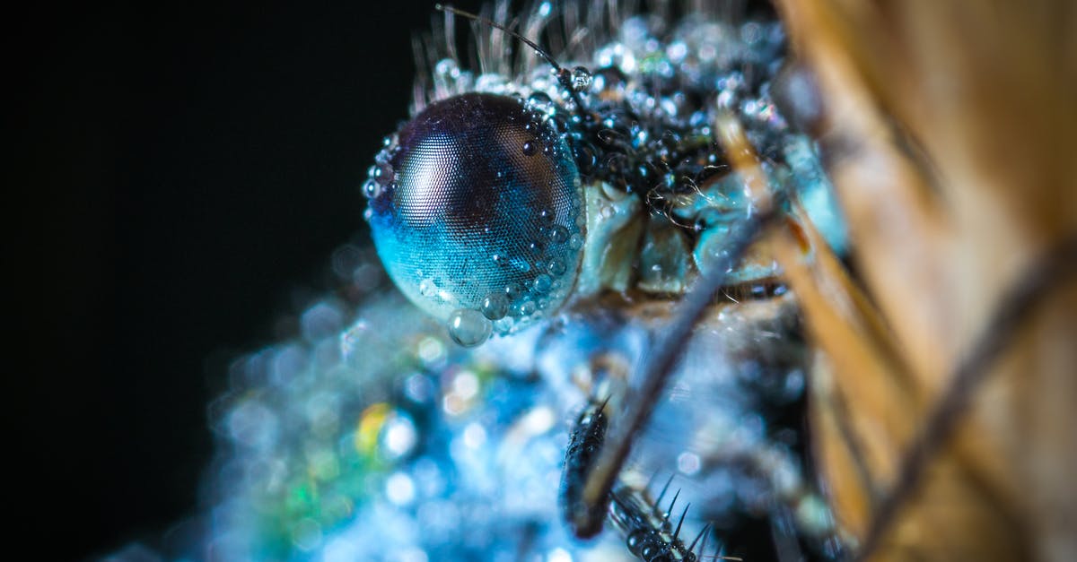 How did they achieve the Gunslinger's shining eye effect in Westworld? - Blue Damselfly Macro Photography