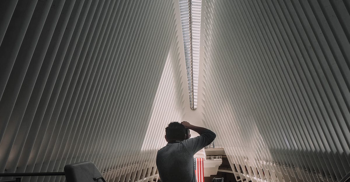 How did they get "King Kong" back to New York? - Back view of unrecognizable man standing and taking photo of contemporary World Trade Center Transportation Hub located in New York