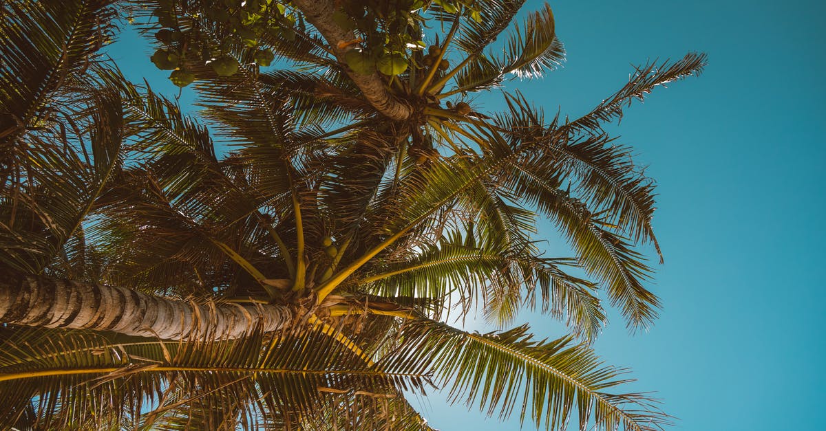 How did they get the shot of the Oahu base in "Snowden"? - Coconut Trees Under the Blue Sky