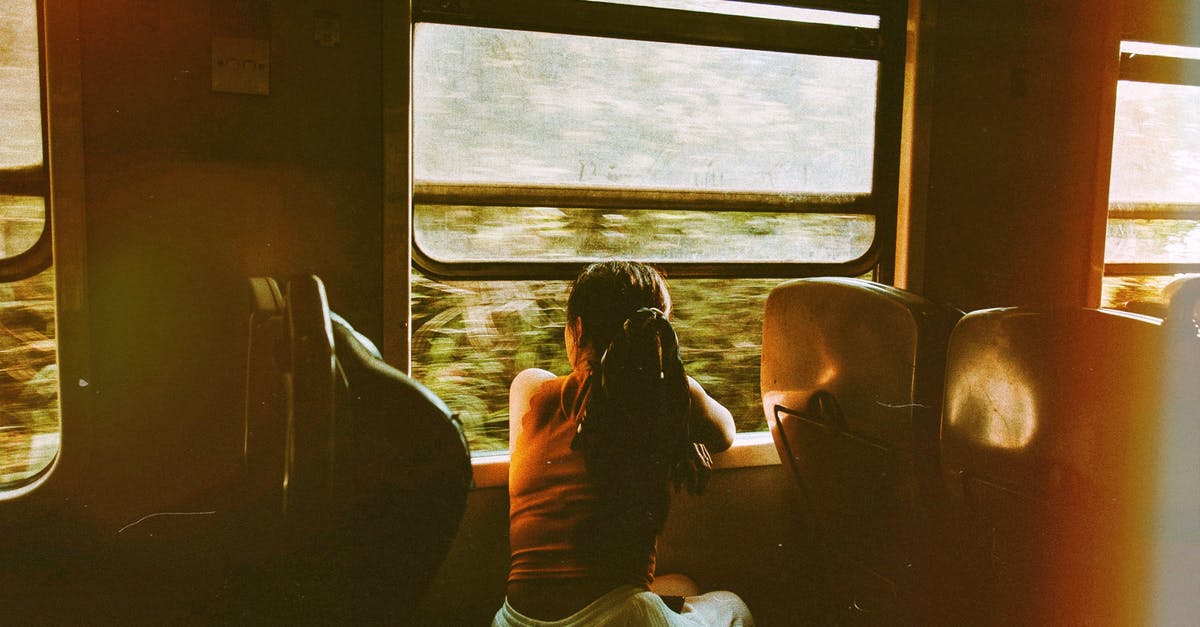 How did they survive the way back? - Unrecognizable woman riding train and looking out window