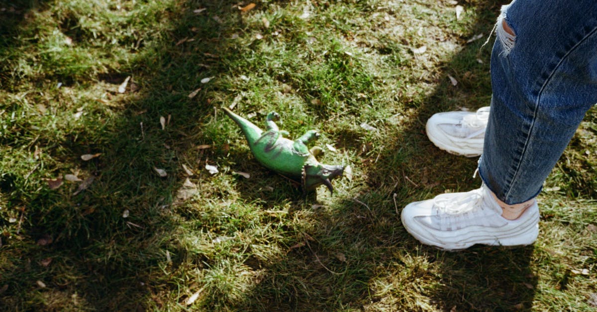 How did this dino survive till Jurassic World: Fallen Kingdom? - From above of crop anonymous person in stylish sneakers standing on lawn with shades and toy dinosaur in summer