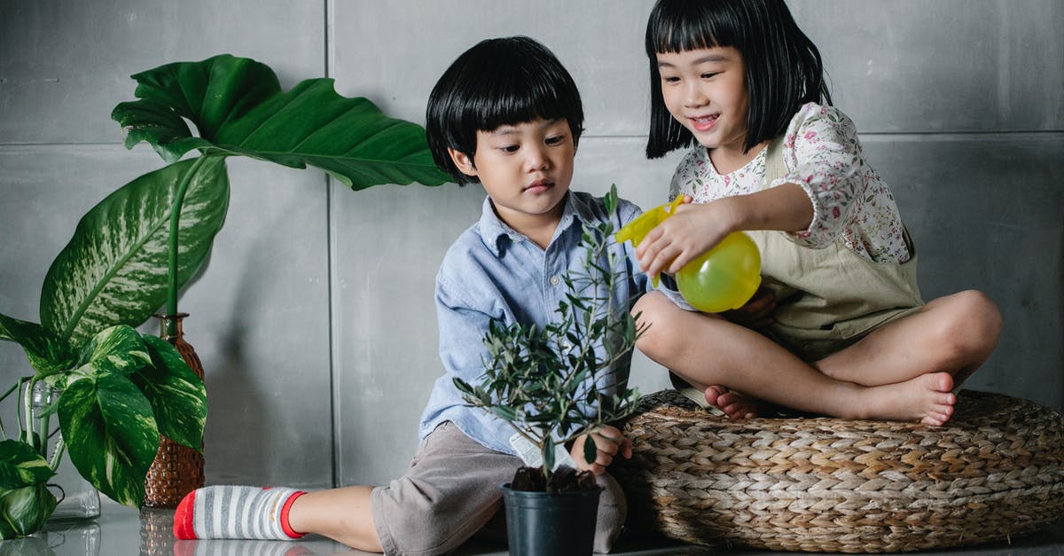 How do the sister and brother learn to swim under water? - Full body cute content Asian sister and brother sitting on floor and spraying lush houseplants together by using spray bottle