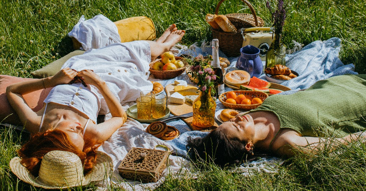 How do the sisters manage to get food enough for all of them in "What happened to Monday"? - Women Lying on Green Grass Field