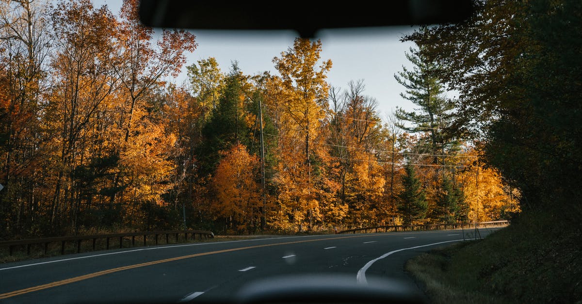 How do they move puppets inside the car? - Modern car driving along curvy asphalt road amidst lush autumn trees in countryside on sunny day