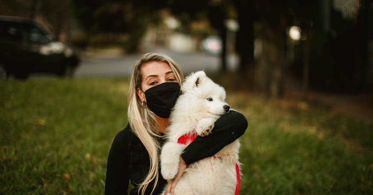 How do they prevent animal cruelty in movies? - Serene woman hugging cute dog in city