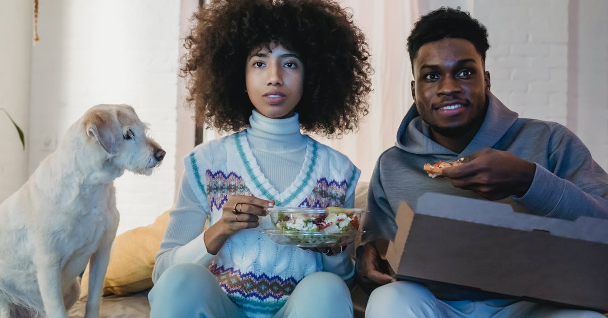 How do they prevent animal cruelty in movies? - Concentrated young African American couple with curly hairs in casual outfits eating takeaway salad and pizza while watching TV sitting on sofa near cute purebred dog