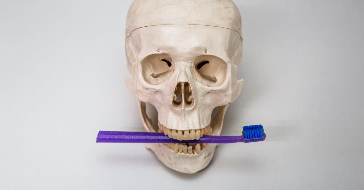 How do they show a tooth-less mouth? - Human skull holding toothbrush between teeth