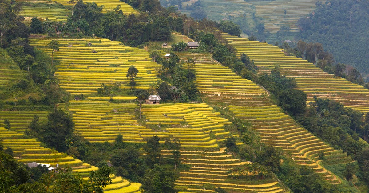 How does Bev know she's leaving across the country after encountering IT - Rice Terraces