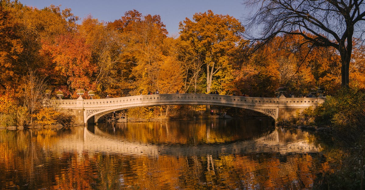 How does Central City PD jail metahumans? - Aged Bow Bridge crossing calm water of lake surrounded by autumn trees placed in Central Park in New York in sunny day