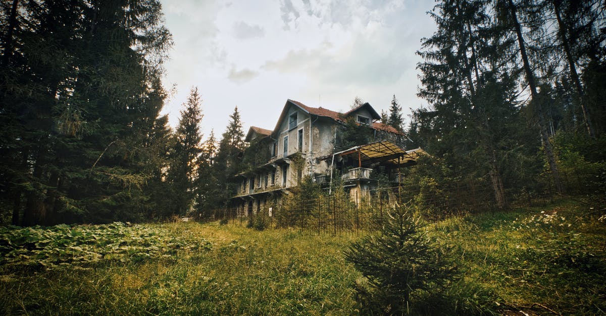 How does Chigurh know where to go to find Moss when the transponder isn't beeping initially? - Brown Wooden House Surrounded by Green Trees Under White Clouds