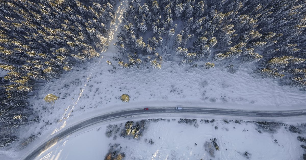 How does Dom know the color of Letty's car? - Vehicles on Road Beside Pine Trees Aerial Photography
