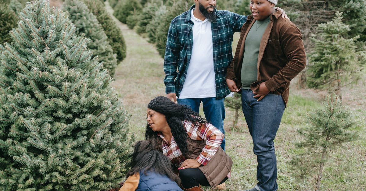 How does Eddard Stark know that Bran saw Cersei and Jaime together? - Positive African American dad standing with teen son while females sawing spruce for family Christmas celebration