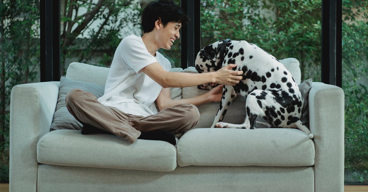 How does Jesse connect the dots in S05E11? - Man Touching a Dalmatian Dog on Sofa and Smiling