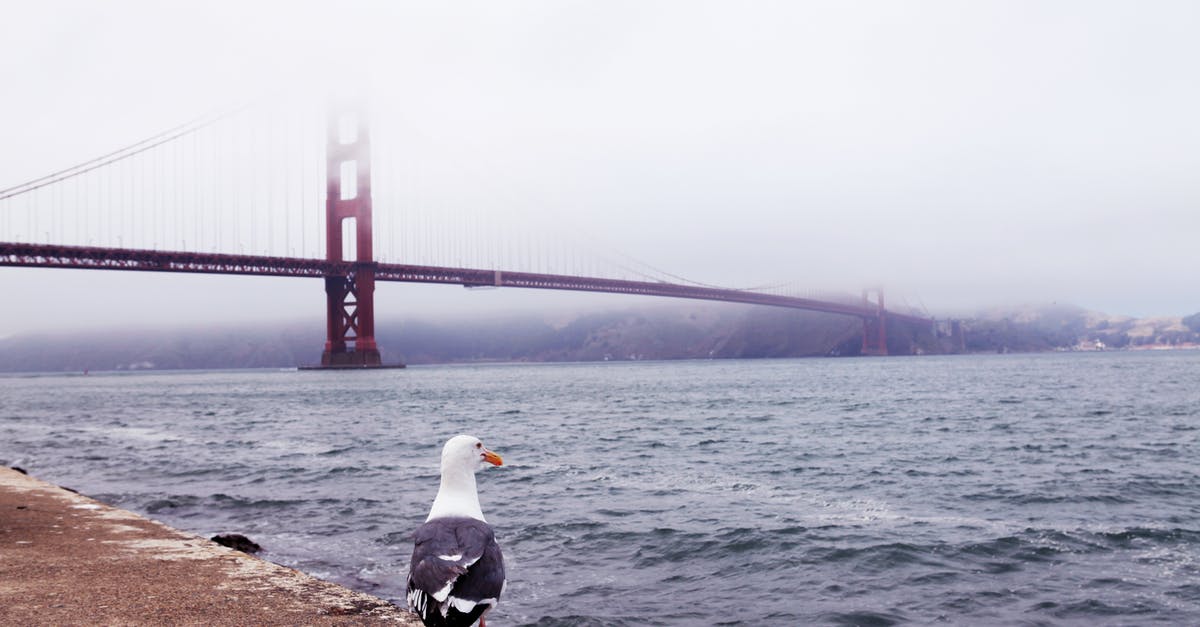 How does Scott Lang afford to live in a townhouse in San Francisco? - White Bird on Brown Rock Near Body of Water