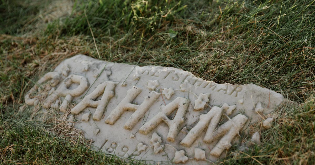 How does Will Graham discover Hannibal is the murderer? - White Concrete Stone on Green Grass